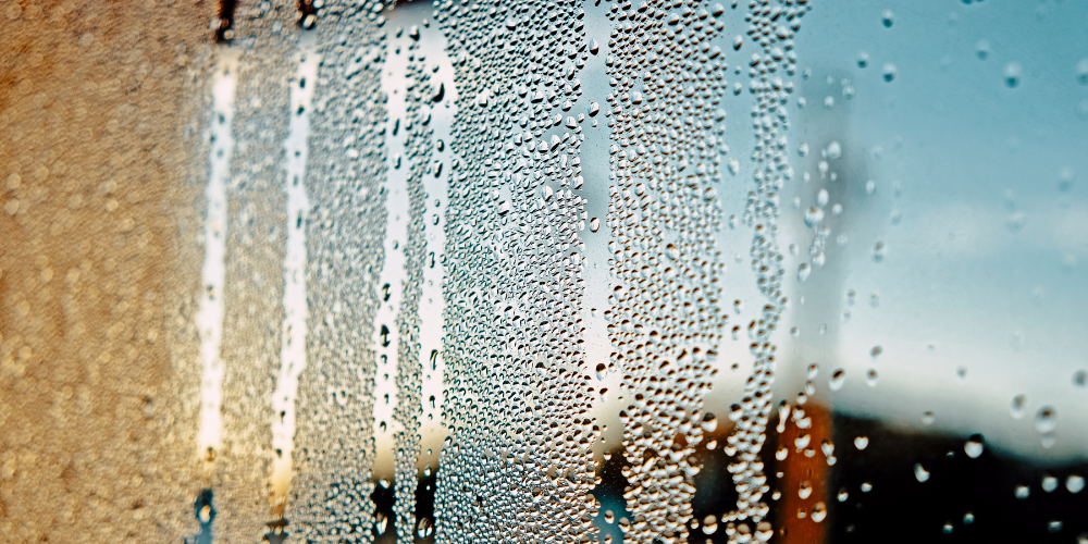 Humidity