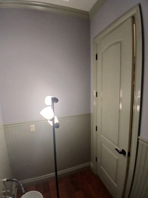 Bathroom Wall Painting Completed